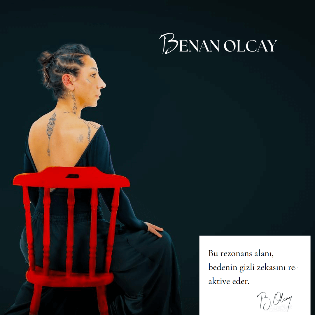 Benan Olcay Web Site Custom Software Development